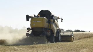 La récolte du blé dur en avance, dans le Sud La récolte du blé dur en avance, dans le Sud