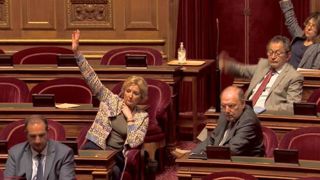 La retraite à 85 % du Smic définitivement adoptée La retraite à 85 % du Smic définitivement adoptée