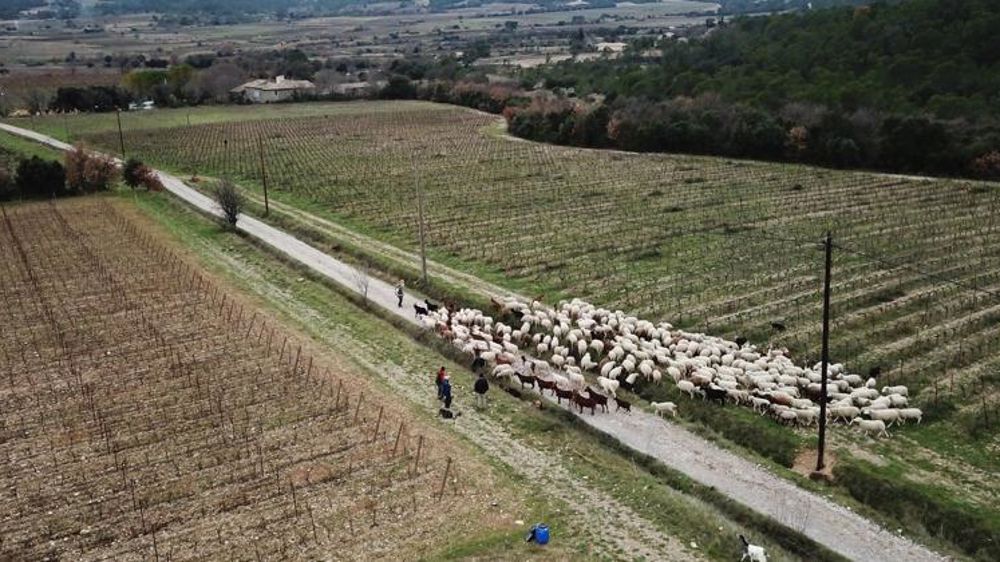 Le retour d’un secrétariat d’État à la Ruralité