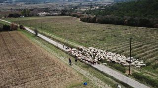 Le retour d’un secrétariat d’État à la Ruralité Le retour d’un secrétariat d’État à la Ruralité