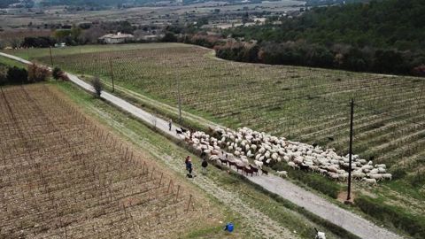 Le retour d’un secrétariat d’État à la Ruralité Le retour d’un secrétariat d’État à la Ruralité