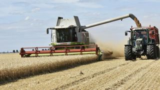 La récolte record de céréales revue à la baisse La récolte record de céréales revue à la baisse