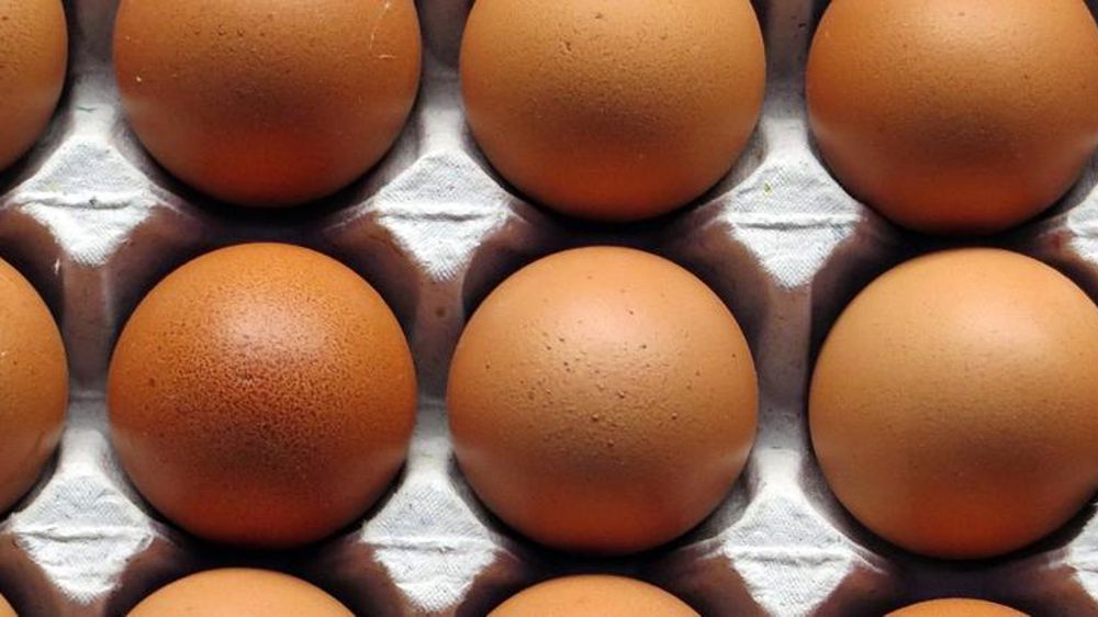 Un outil pour hiérarchiser les dangers chimiques et biologiques