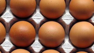Un outil pour hiérarchiser les dangers chimiques et biologiques Un outil pour hiérarchiser les dangers chimiques et biologiques