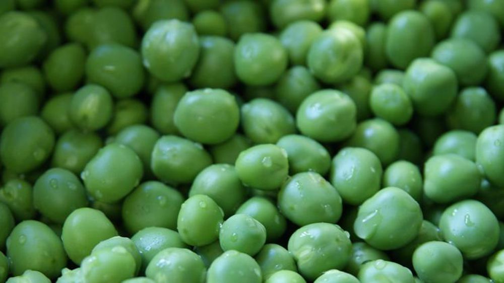 Mauvaise année pour les petits pois