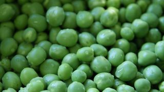 Mauvaise année pour les petits pois Mauvaise année pour les petits pois