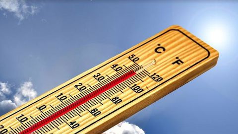 Une canicule bien installée