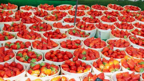 Les cours des fraises en voient des vertes et des pas mûres Les cours des fraises en voient des vertes et des pas mûres