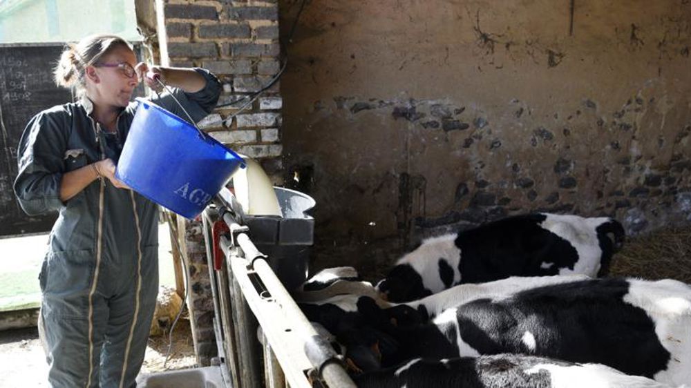 Certains associés de Gaec peuvent travailler plus à l’extérieur