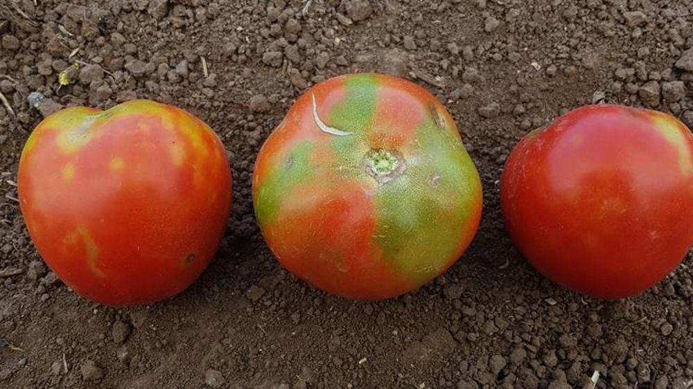 L’Union européenne renforce la surveillance