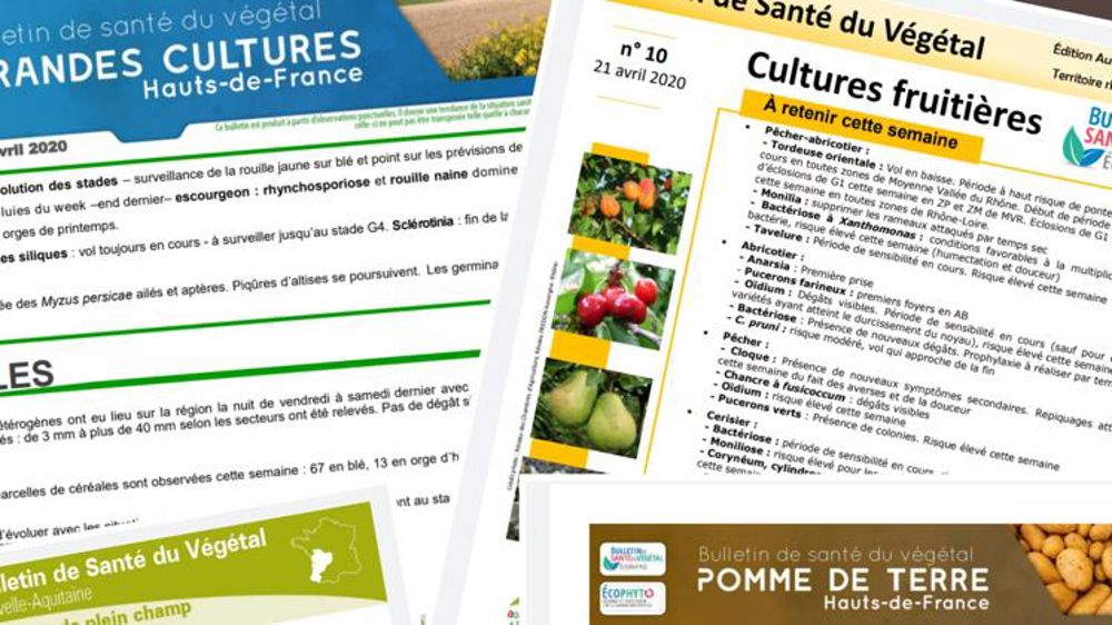 Huit pistes pour mieux traquer les organismes nuisibles