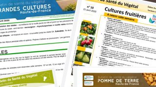 Huit pistes pour mieux traquer les organismes nuisibles Huit pistes pour mieux traquer les organismes nuisibles