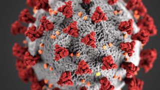 Une exploitation allemande confinée Une exploitation allemande confinée