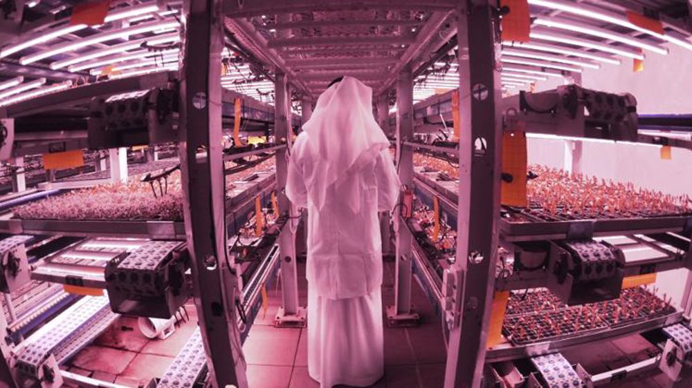 Une « révolution agricole » au milieu du désert