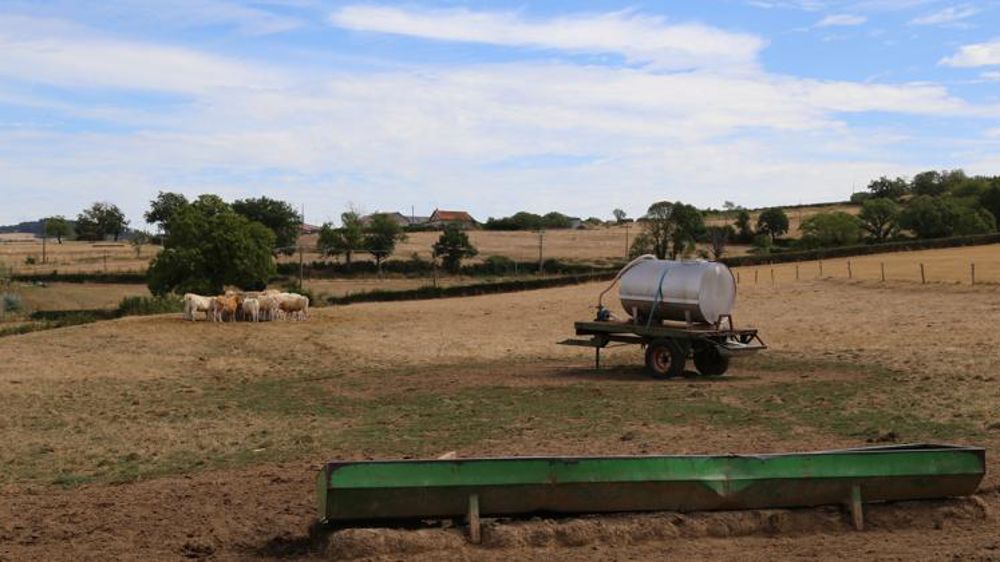 Le manque d’herbe s’aggrave