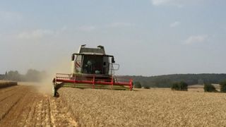 Le prix du blé français se pose Le prix du blé français se pose