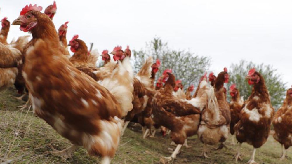 La reprise tarde encore à venir