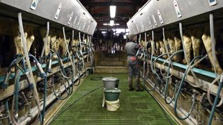 Le prix du lait amorce une remontée Le prix du lait amorce une remontée