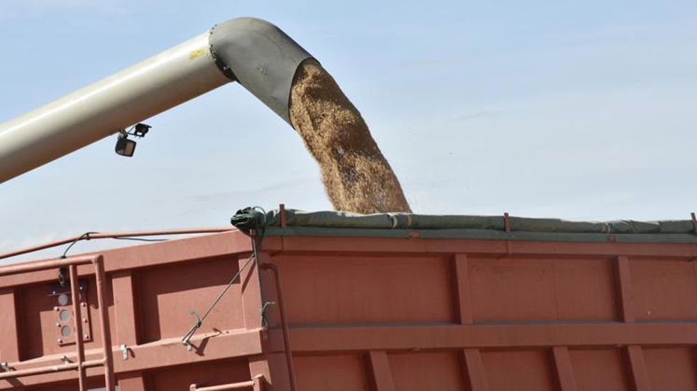 Nouveau souffle en céréales