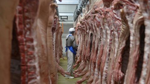 L’Asie ferme ses portes aux porcs allemands