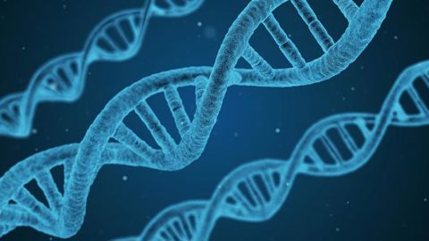 « Pas de relance sans les biotechnologies » « Pas de relance sans les biotechnologies »