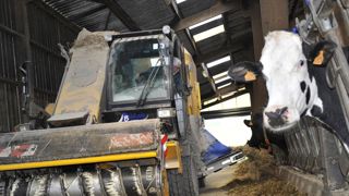 Légère augmentation de la production en juillet Légère augmentation de la production en juillet