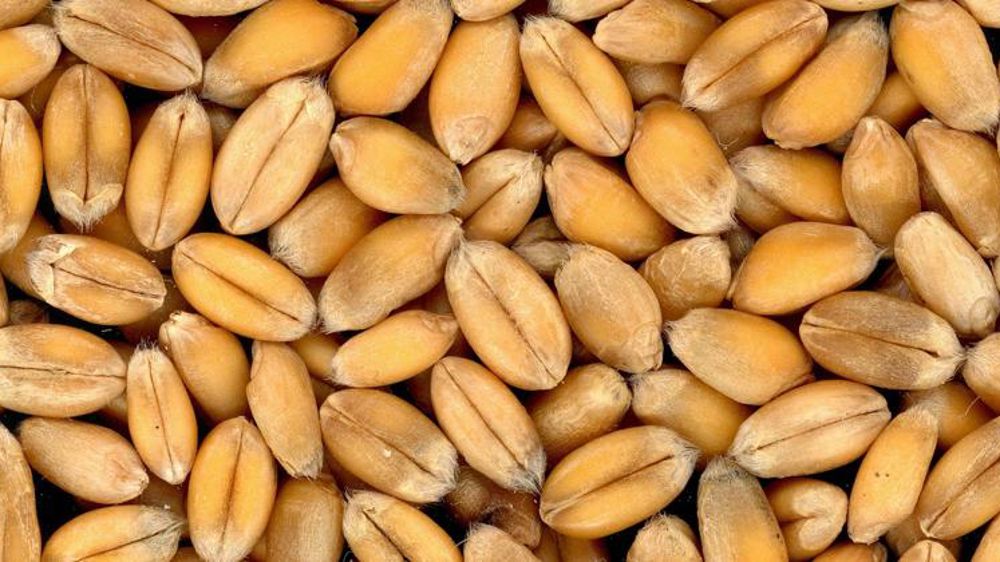 La récolte russe au plus haut depuis son record de 2017