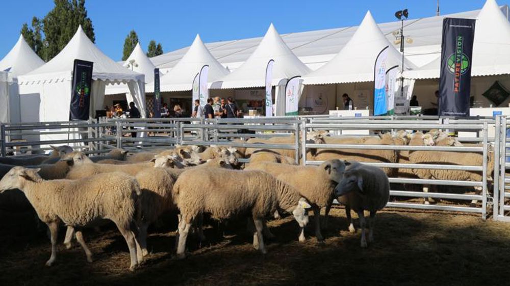 Tech-Ovin à pied d’oeuvre pour sa prochaine édition