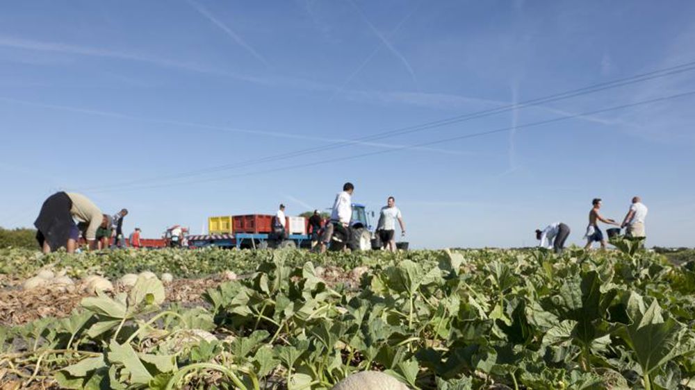 Jusqu’à 4 000 euros d’aide à l’embauche