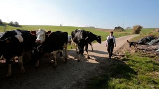 « Lever les clichés » sur le monde de l’élevage « Lever les clichés » sur le monde de l’élevage