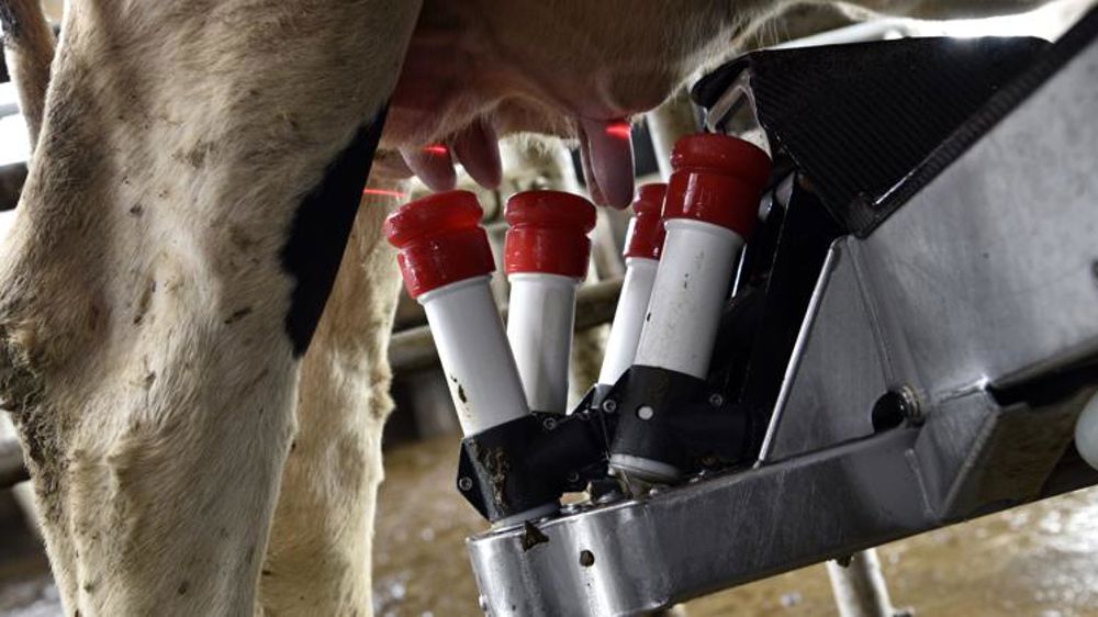 Le prix européen remonte à 330 €/1 000 litres en août  