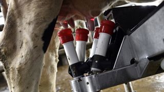 Le prix européen remonte à 330 €/1 000 litres en août Le prix européen remonte à 330 €/1 000 litres en août