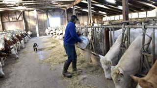 Les livraisons d’aliments du bétail seront assurées Les livraisons d’aliments du bétail seront assurées