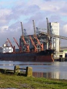 exportations blé