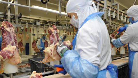 130 millions pour les abattoirs, un effort financier « insuffisant » 130 millions pour les abattoirs, un effort financier « insuffisant »