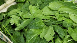 L’Académie d’agriculture trouve des vertus aux nitrates L’Académie d’agriculture trouve des vertus aux nitrates