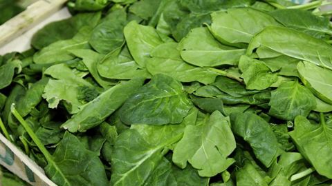 L’Académie d’agriculture trouve des vertus aux nitrates L’Académie d’agriculture trouve des vertus aux nitrates