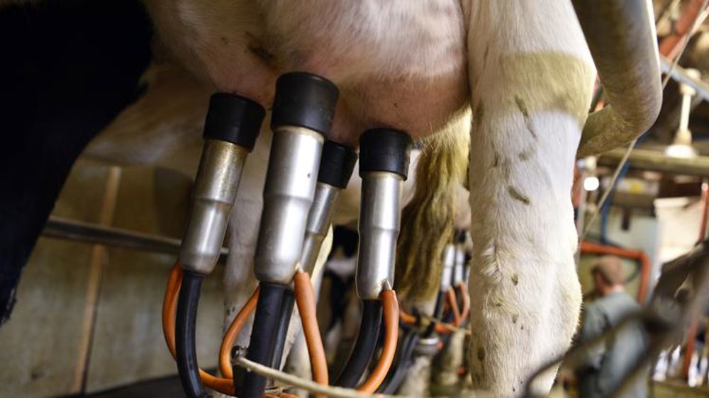La collecte laitière a rebondi en septembre