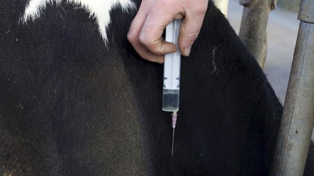 Les ventes d’antibiotiques diminuent encore