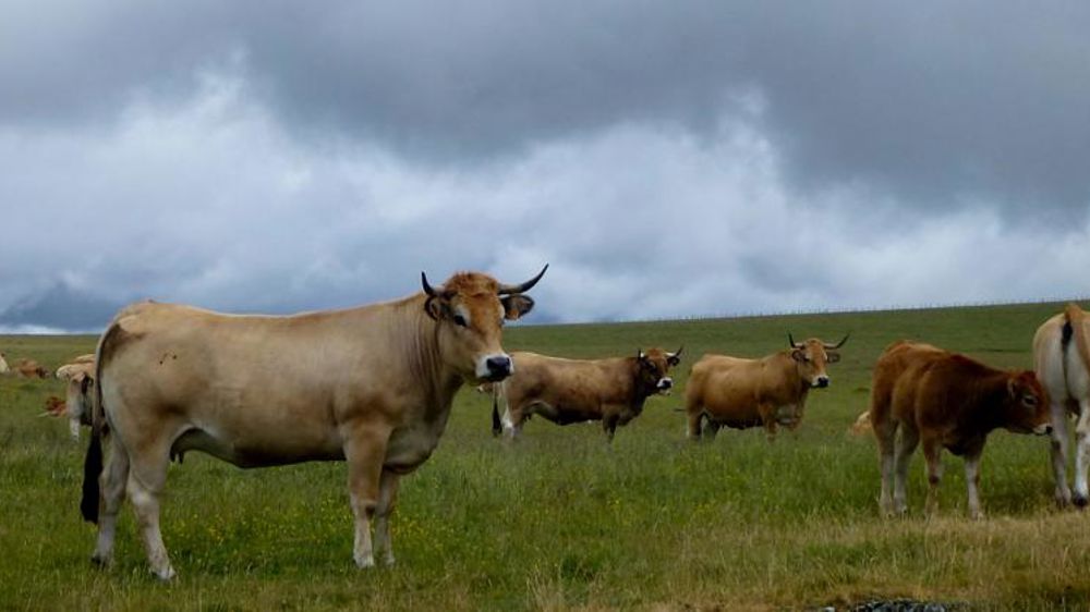 « Tenir la route » sur le long terme face aux aléas