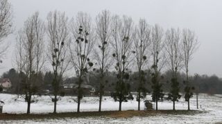 L’hiver est bien arrivé L’hiver est bien arrivé