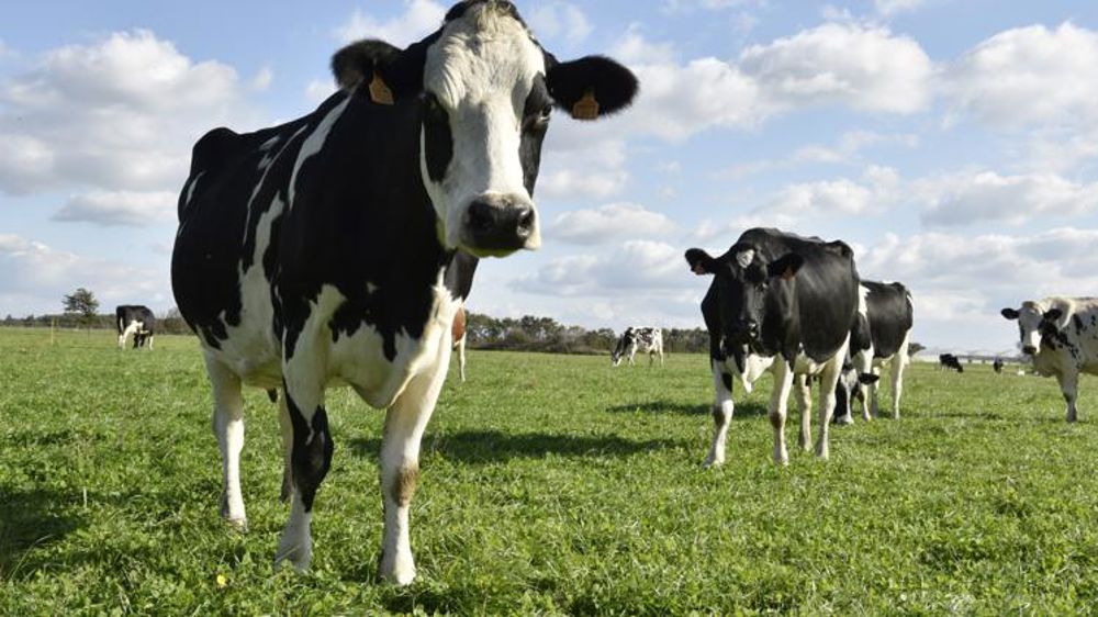 Biolait s’engage pour le commerce équitable