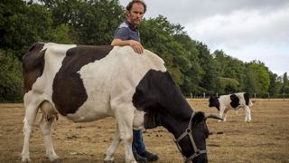 « Une première victoire » judiciaire pour l’éleveur bio « Une première victoire » judiciaire pour l’éleveur bio