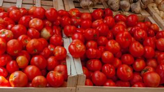 Les fruits et légumes bio 44 % plus chers qu’en conventionnel Les fruits et légumes bio 44 % plus chers qu’en conventionnel