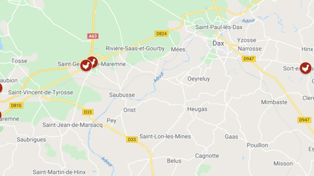 « Forte suspicion » de grippe aviaire dans un cinquième élevage