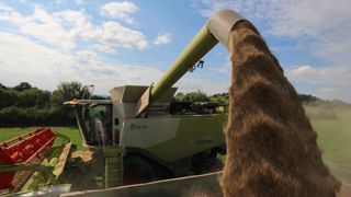 La production européenne de céréales serait stable à l’horizon 2030 La production européenne de céréales serait stable à l’horizon 2030