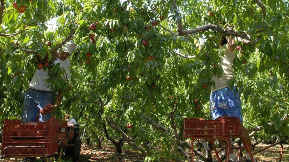 Ouverture d’enquêtes sur l’emploi et l’hébergement de travailleurs détachés