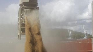 La Chine reste un moteur des échanges de grains La Chine reste un moteur des échanges de grains