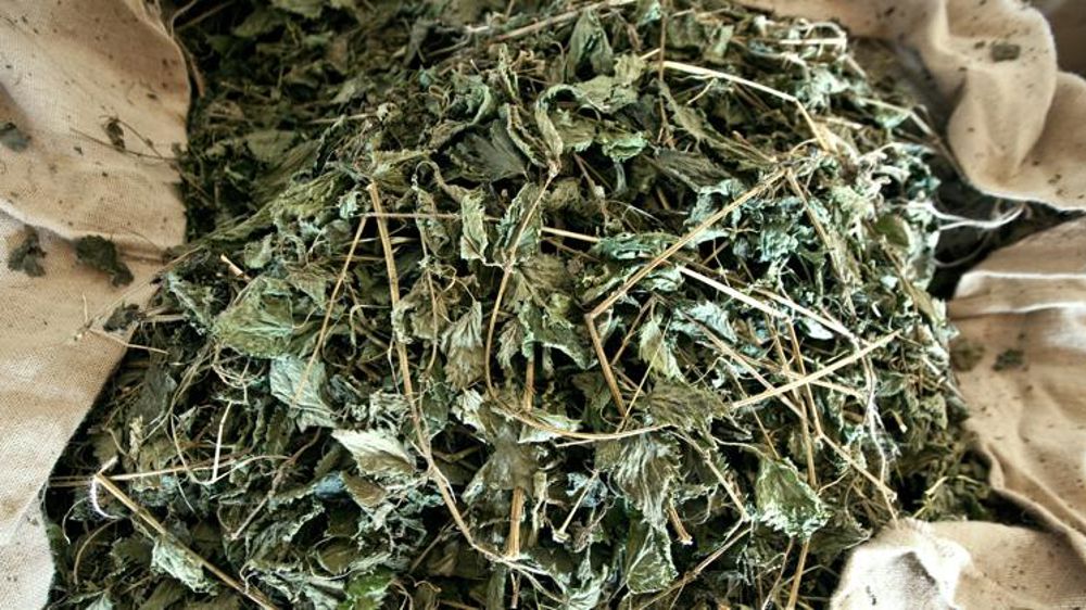 Le cahier des charges des PNPP en consultation publique