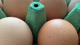 Les œufs alternatifs cassent la baraque Les œufs alternatifs cassent la baraque